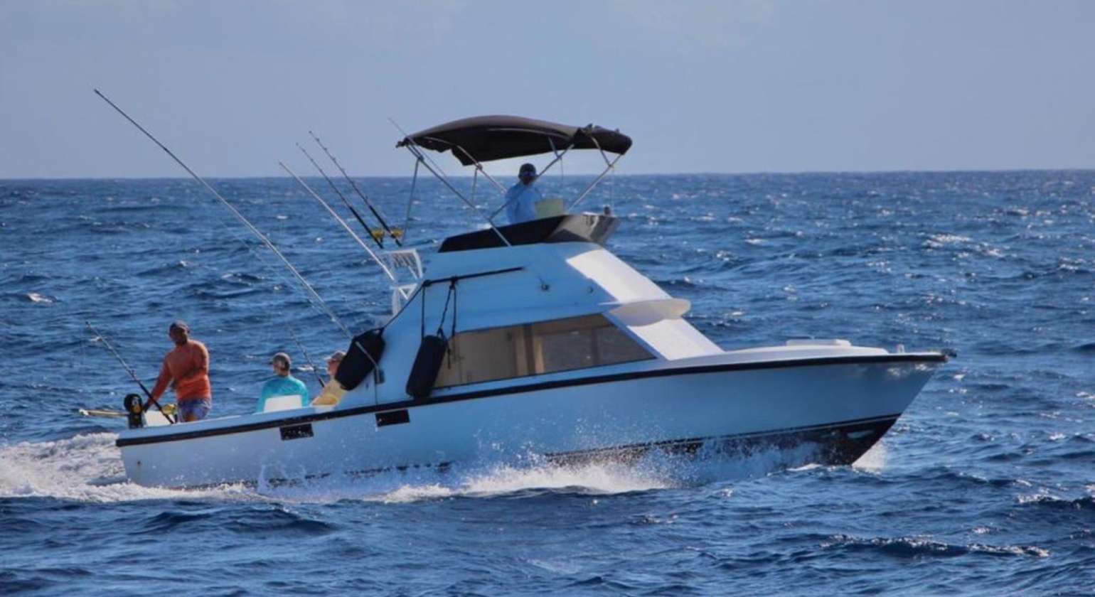 Bertram 31 Marina Sunset Lagoon Private Fishing and Snorkeling Charter